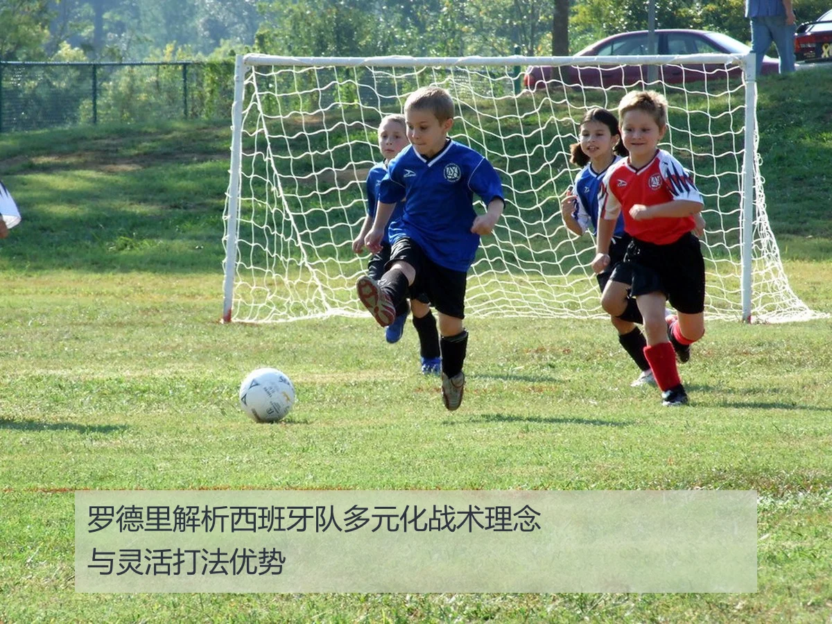 罗德里解析西班牙队多元化战术理念与灵活打法优势